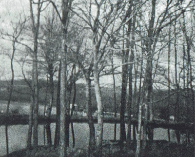 l'étang médiéval de Castelnau-Pégayrols